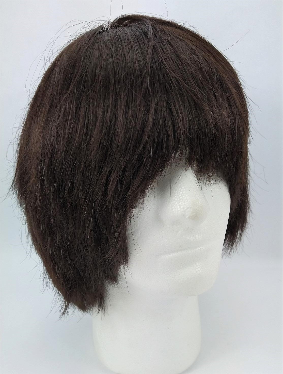 Garland Men Unisex Wig Unisex Short Full Hair Brown CW509