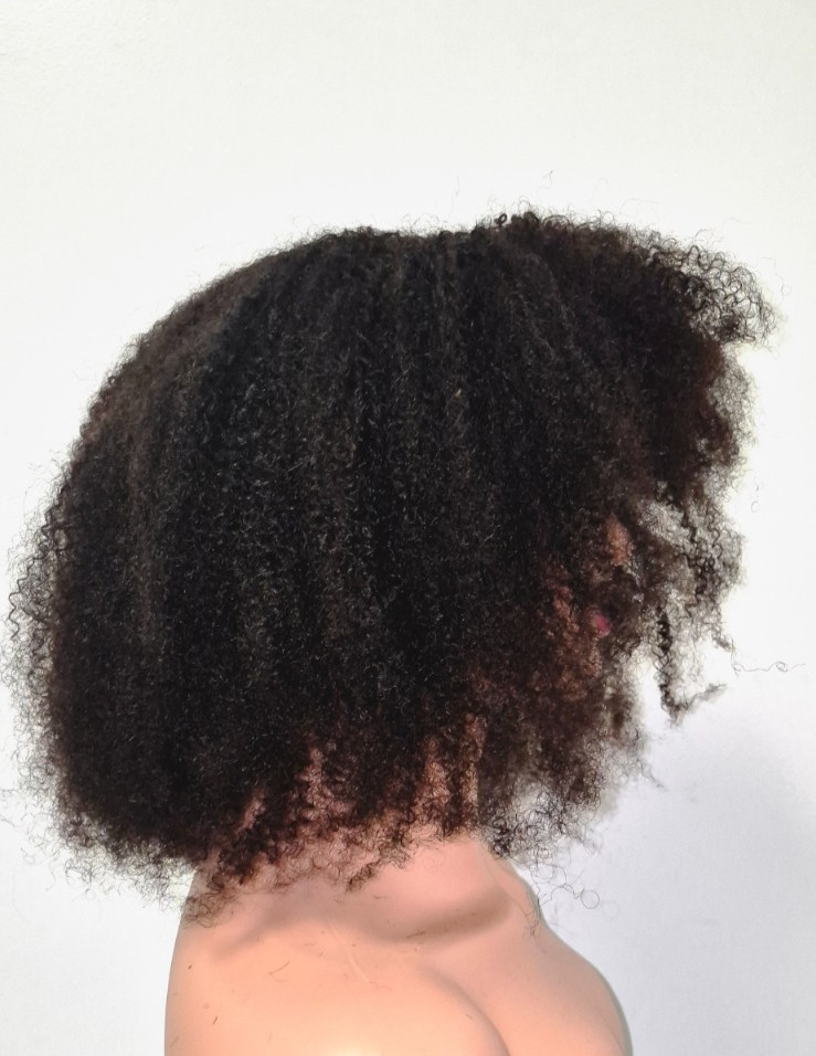 Black Afro Wig 14 Inch 200% Density