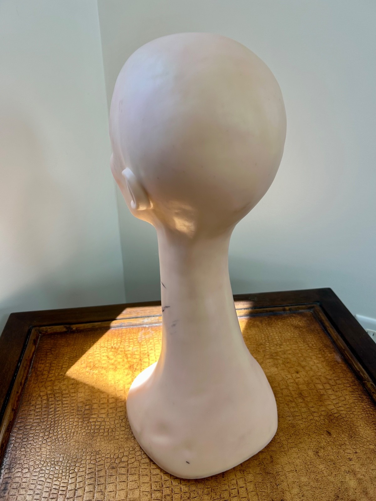 Set of 5 Wig Stands – Wig Stand Bundle – Mannequin, Canvas, Collapsible – Good