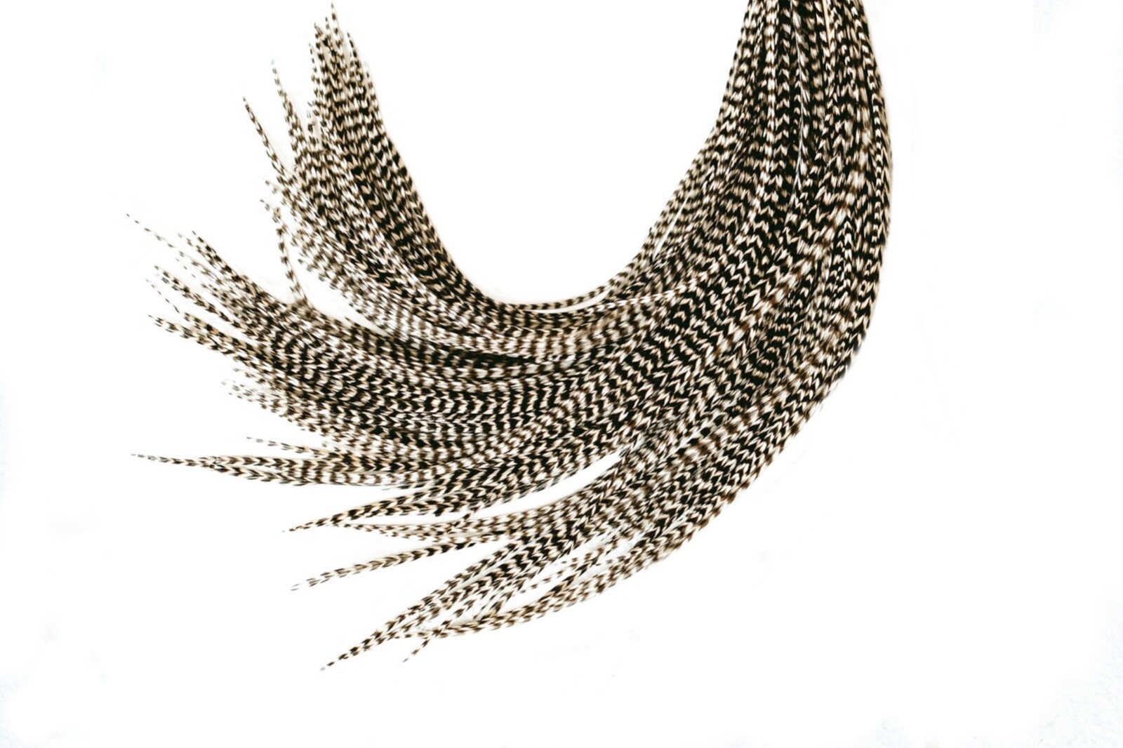 *SALE* 21pcs. (Black & White) 10″-14″ Salon Grade Feather Extension, DIY Kit