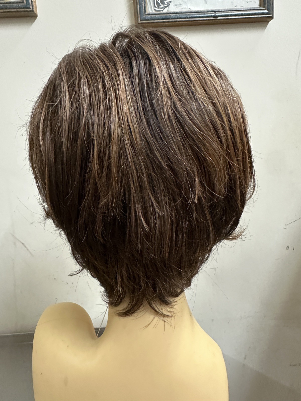 EASY DOES IT-RAQUEL WELCH WIG RL829SShadedHAZELNUTTem/TemLaceFrontMonoPrtMemCap3