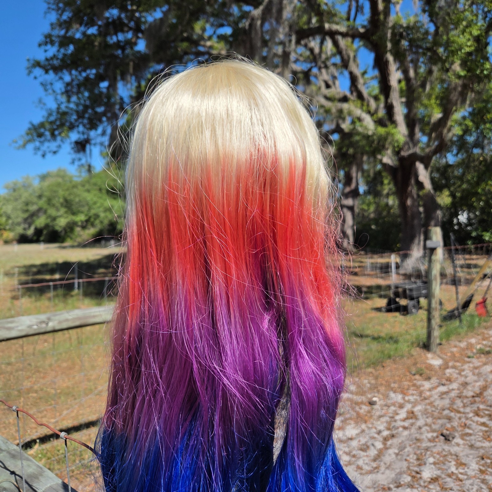 Jon Renau Full Lace Front Wig Long Colorful Bright Pride Blonde Bangs Dyed