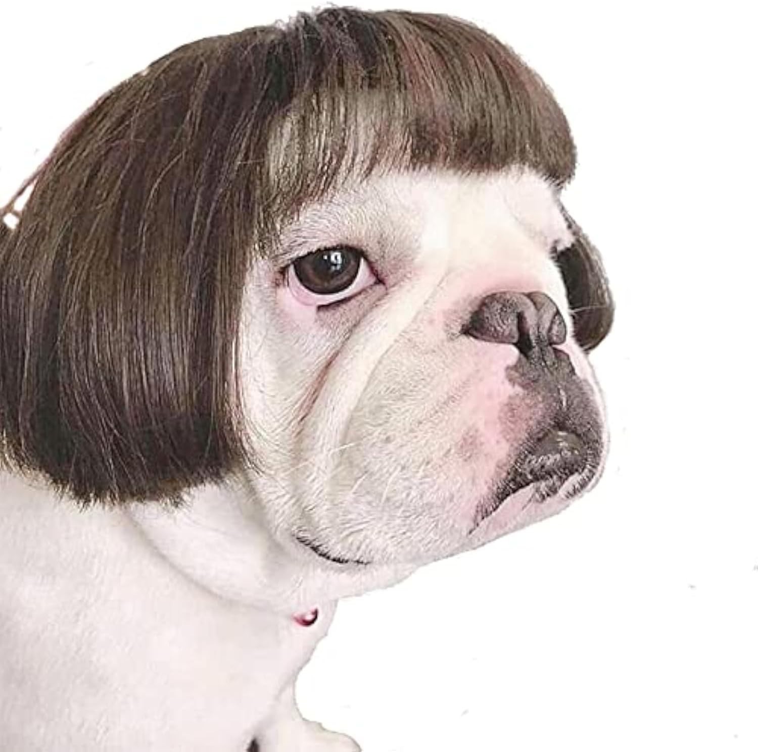 Versatile Black Brown Dog Costume Wig – Celebrate Halloween & Christmas