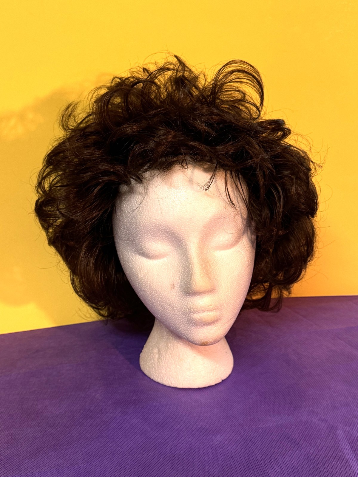 Paula Young A2412 Brunette Wig – Average 8 (Preowned)