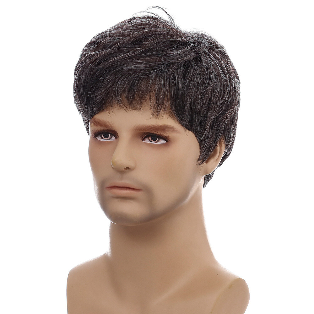 Men Short Black Brown Hair Synthetic Daily Natural Cosplay Wigs Party Costume US