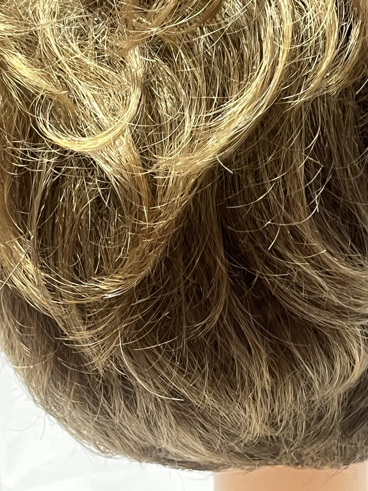 TWC Fashion Club Wig Affliction Color 14/16H Blonde