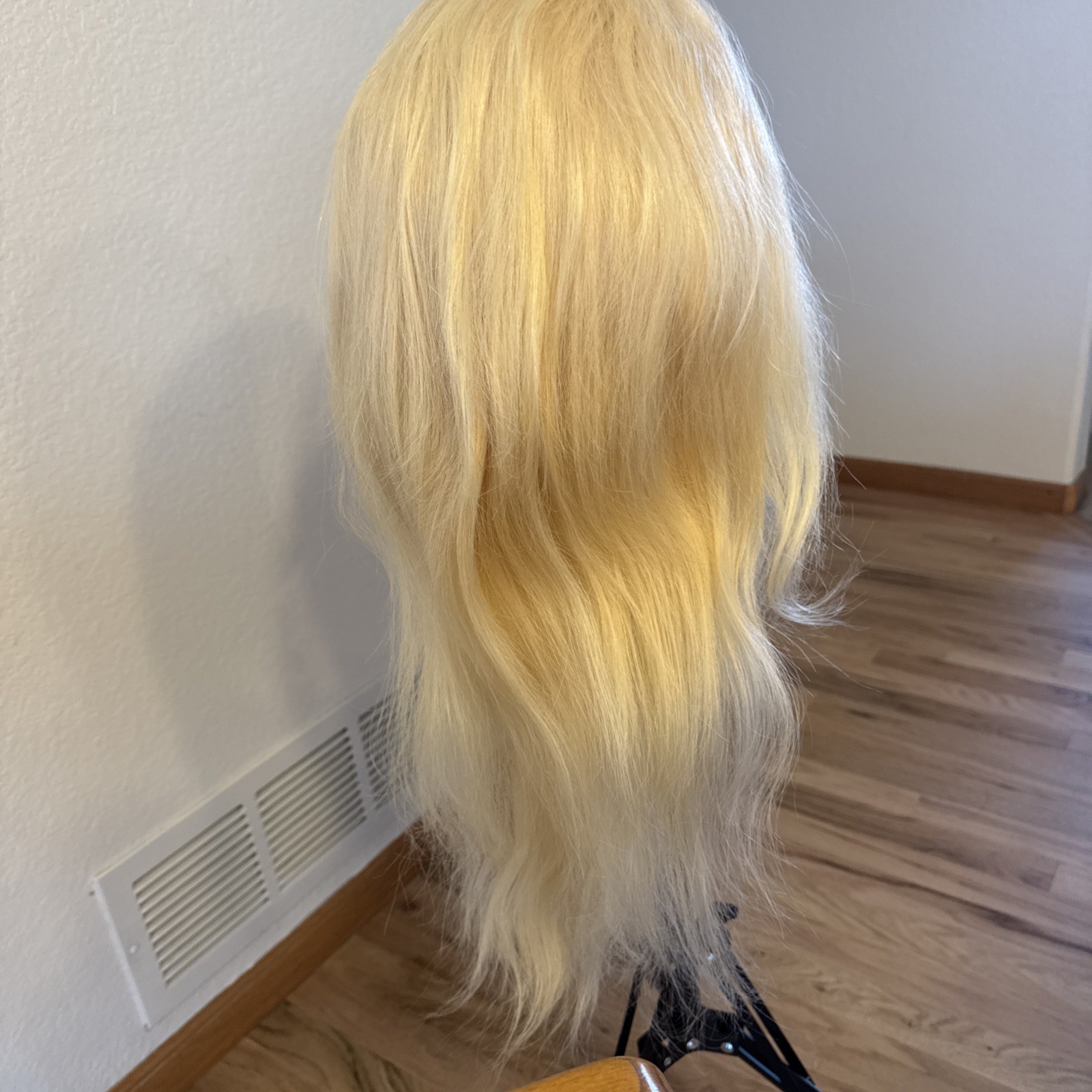 Human Hair Wig | 27” Light| Golden Blonde Highlight’s Lace Cap No Tags 144