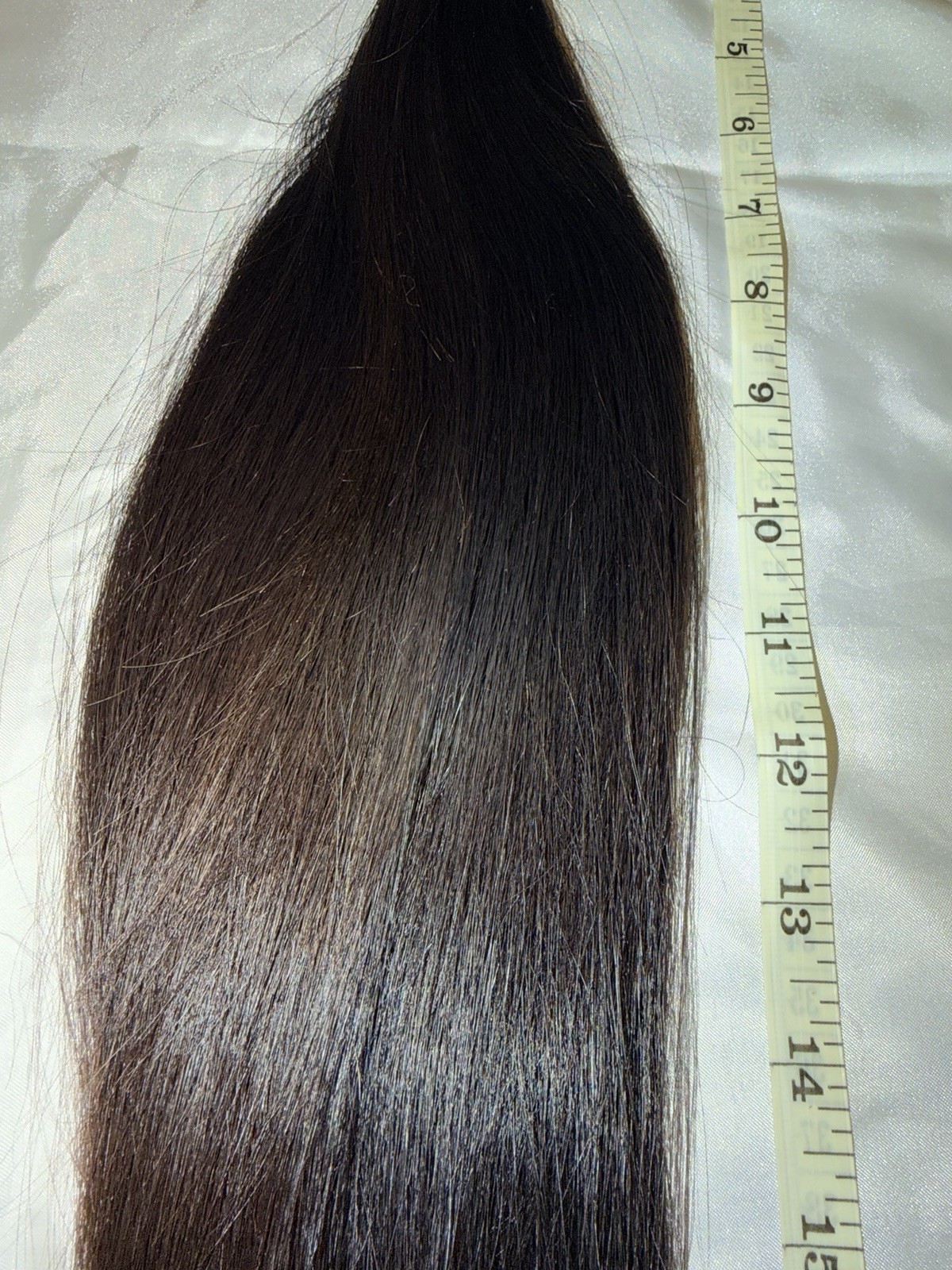 22 Inch, 85g Beautiful Human Hair Cut Ponytail, Fresh From Salon Single Donor. 2