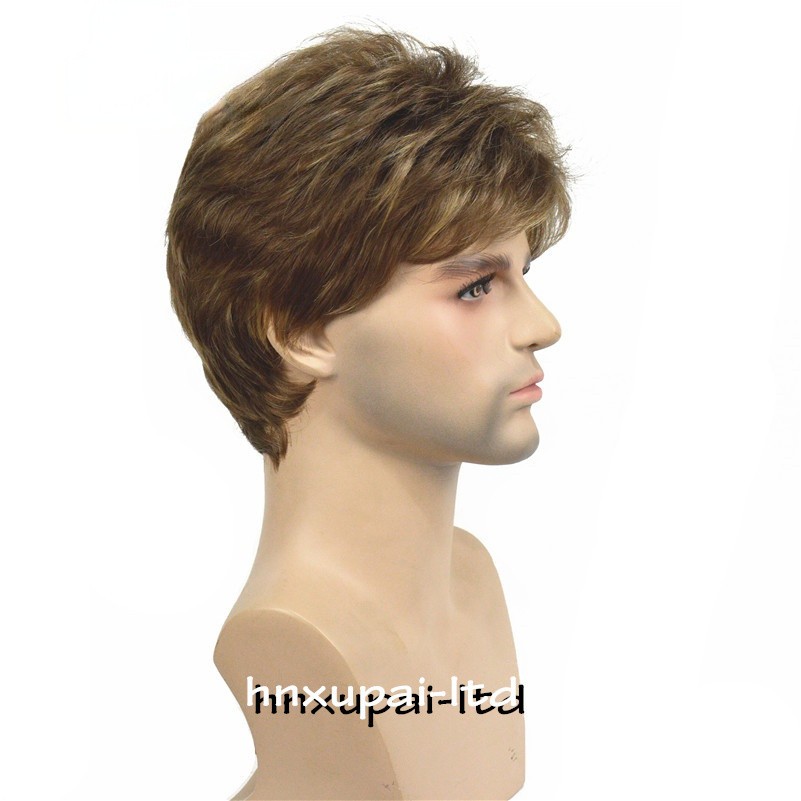 Men’s Black Men Wig Short Full Wigs Little Wavy Synthetic Straight Hair Daily US