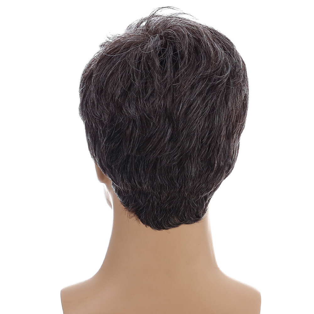 Men Short Black Brown Hair Synthetic Daily Natural Cosplay Wigs Party Costume US