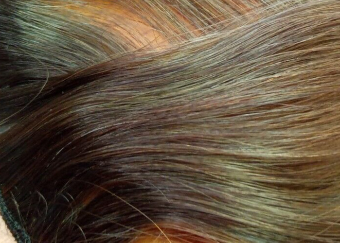 7pcs Clip in Hair Extensions Human Hair Extensions Dark Brown w/Chestnut 20″
