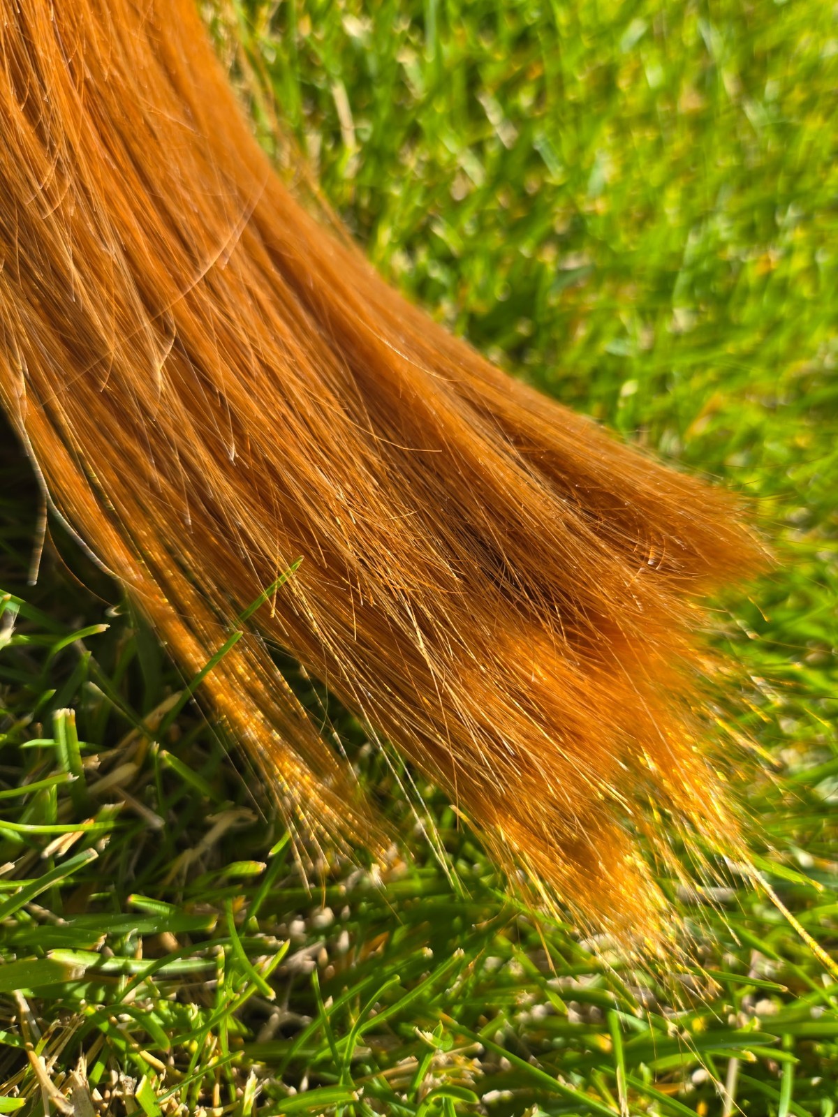 2 – 14inch bundles of Red Virgin Human Hair ~ 65 grams each