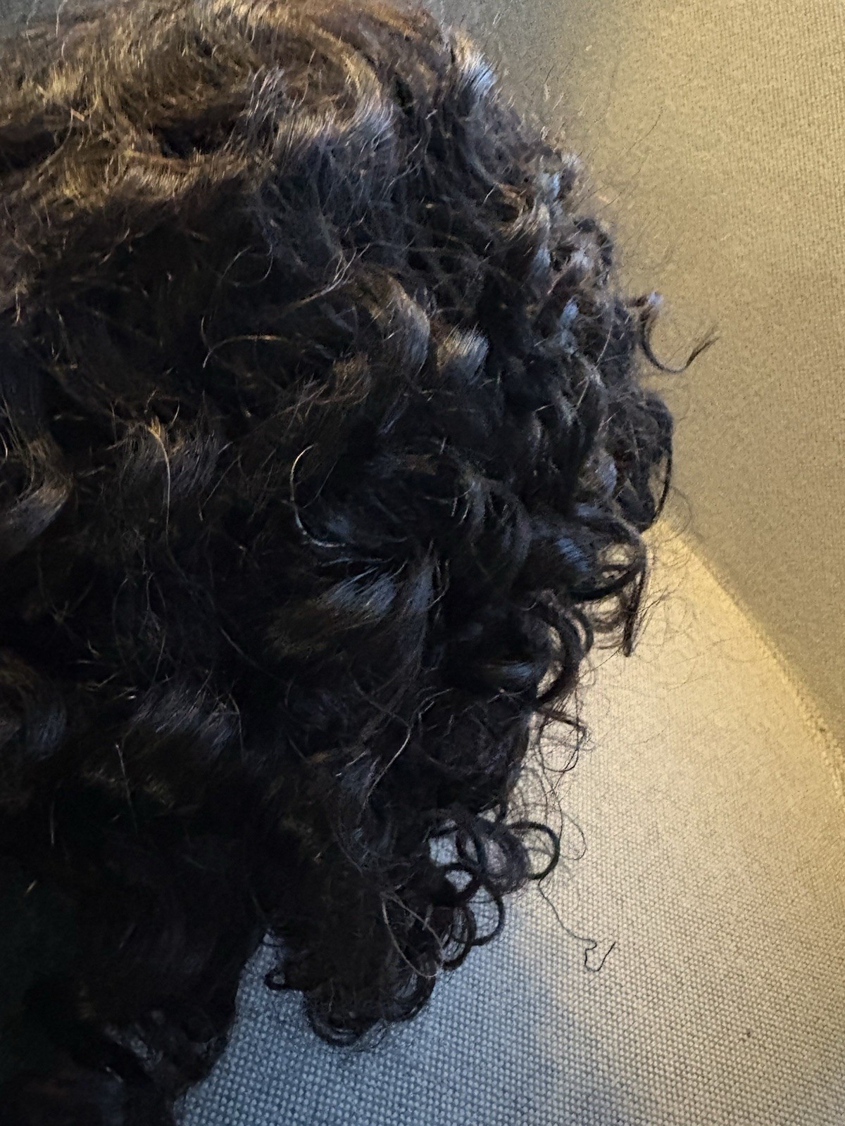 Luvme Hair Human Hair Wig – 12” Length – Natural Black – Lace Front – Pre-Owned