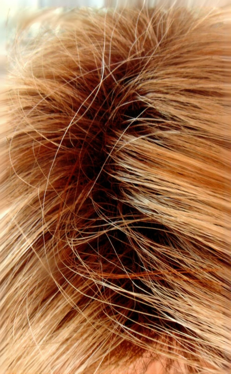 “ANGELICA” COLOR SUGAR CANE R NORIKO WIG HYBRANT/ GRADIENT NIB CUTE SEXY 501