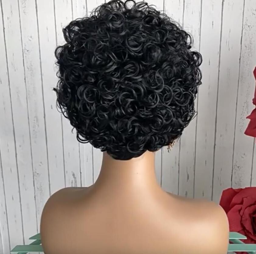 Women Short Afro Fluffy Curly Wigs Natural Wig Black Short Curly Synthetic Hair