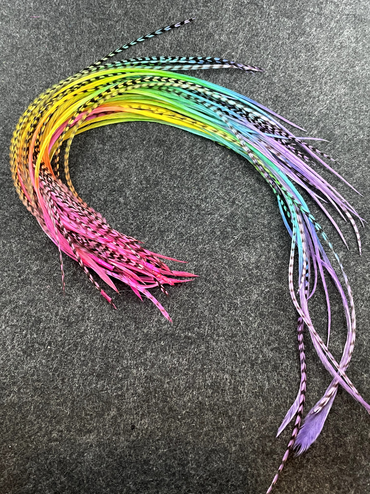 5 Grizzly saddle Rainbow Feather Extensions feathers SALON KIT microbeads