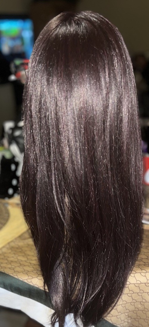 SWISS LACE FRONT WIG HANDTIED LONG STRAIGHT LAYERED WIG #1 BLACK HEAT OK NEW