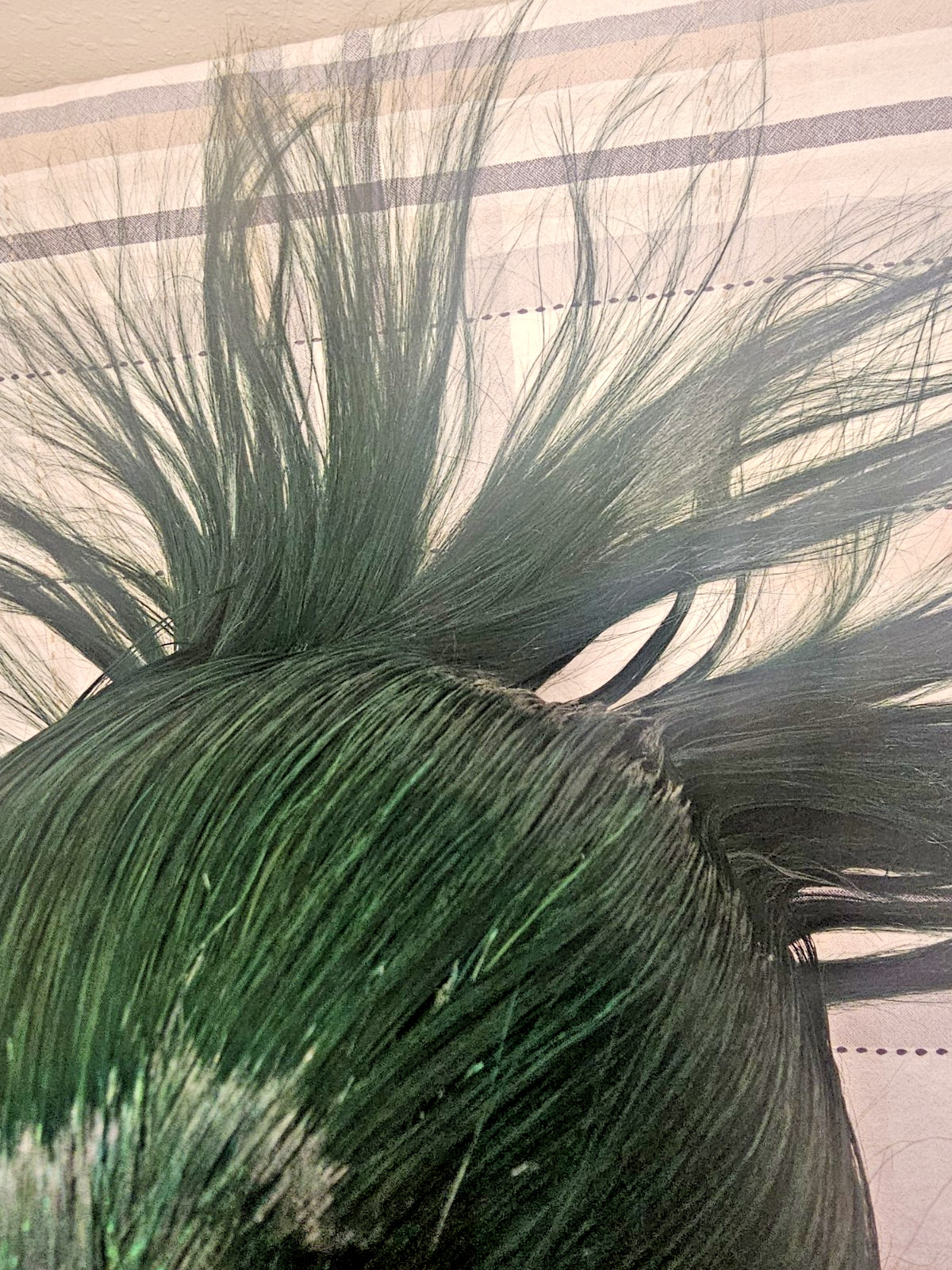 Bob Indonesia 100%Human Hair Wig With Full Machine made