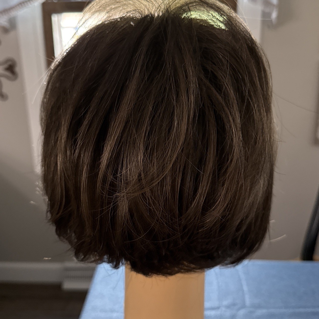 Estetica Designs Naturalle Collection Front Lace Synthetic Wig Aimee R14/8H