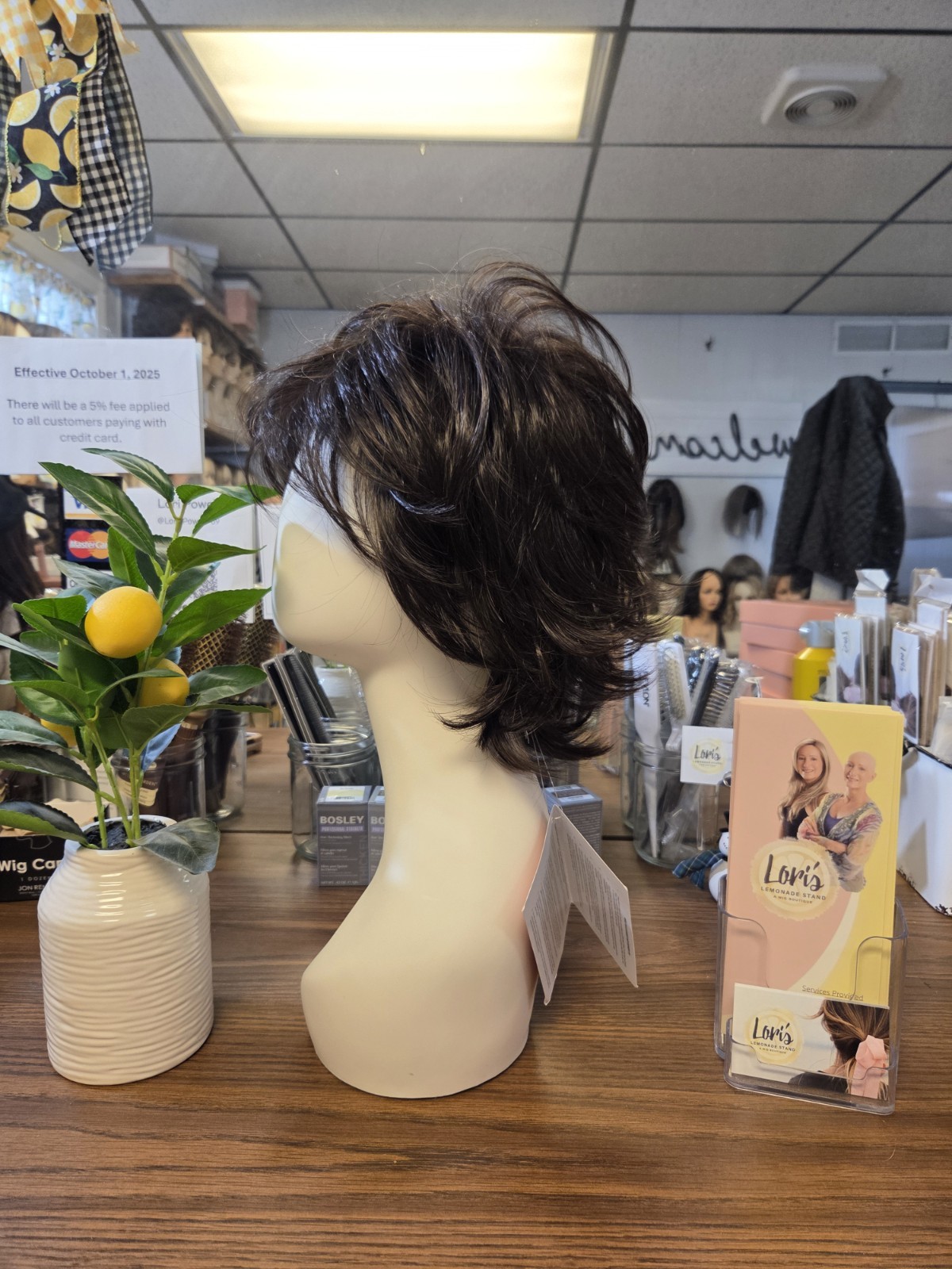 NWT Razor Cut Shag by Tressallure (Open Box) in the color 4/6R