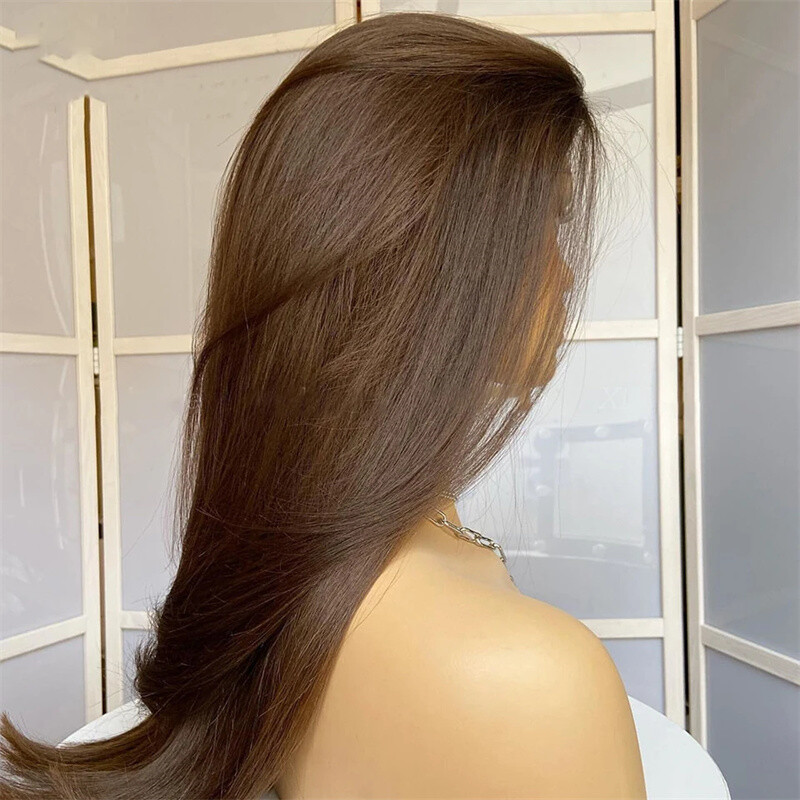 Frontal Lace Wig Layered Pre Plucked Long Straight Heat Resistant Hair Brown