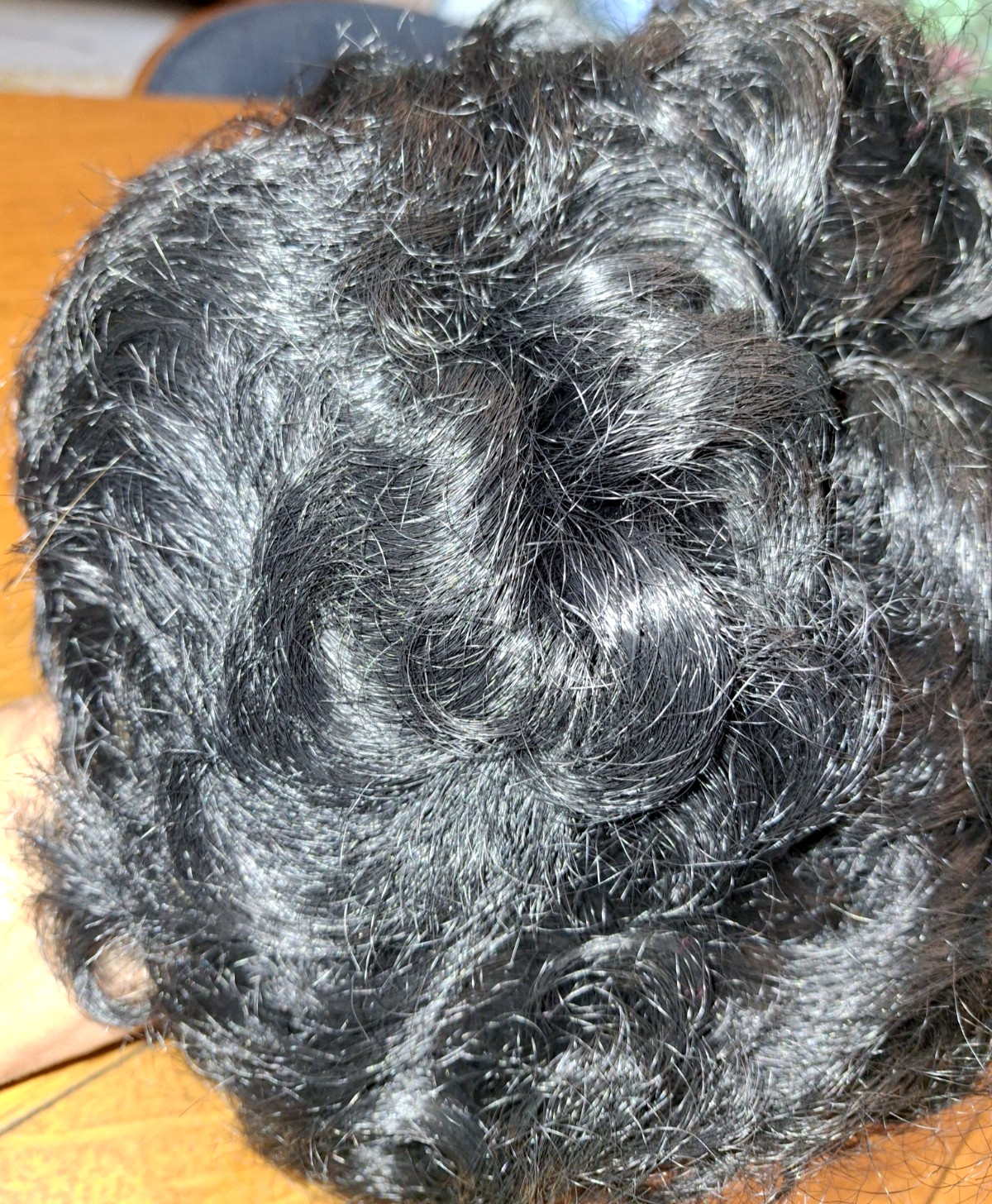 Ladies Wig Short Curly Wave Women Fluffy Hair Wig Party ‘Born Free’ Korea /Japan
