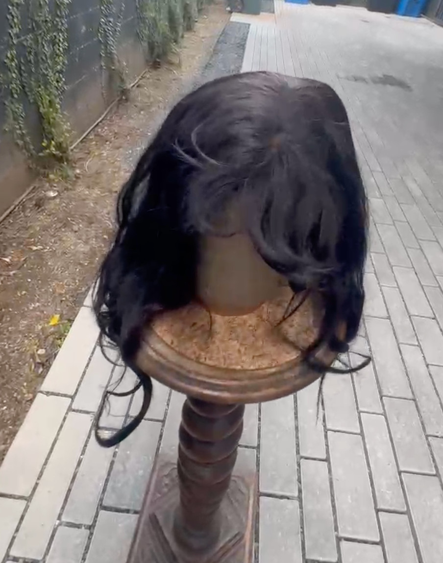 BLACK HAIR WIG FROM THE WIG SHOP LA