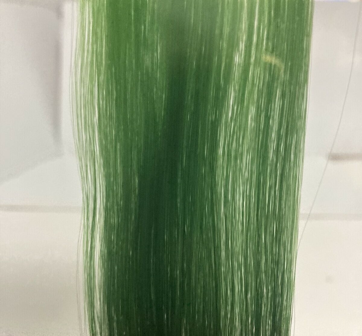 1 PIC HIGH LIGHT CLIP IN FAUX SYNTHETIC FEATHERS 16″ HAIR EXTENSION GREEN/ BLACK
