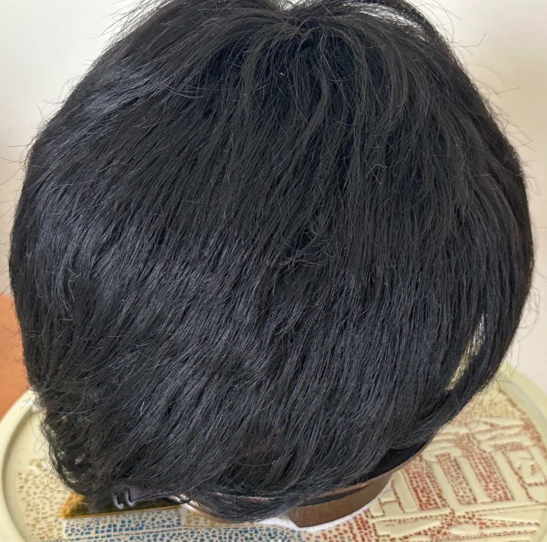Motown Tress Kane Kalon Women’s Wig Japanese Origin Hair Piece Black One Size