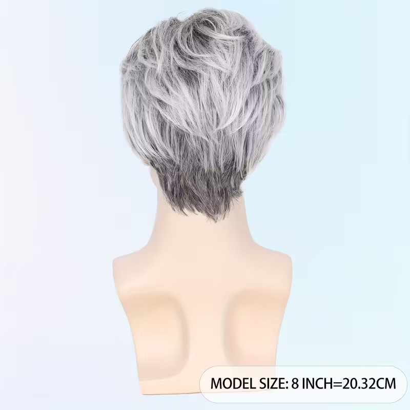 Gray Side Part Short Straight Synthetic Full Wig for Men Daily Casual Wear Heat