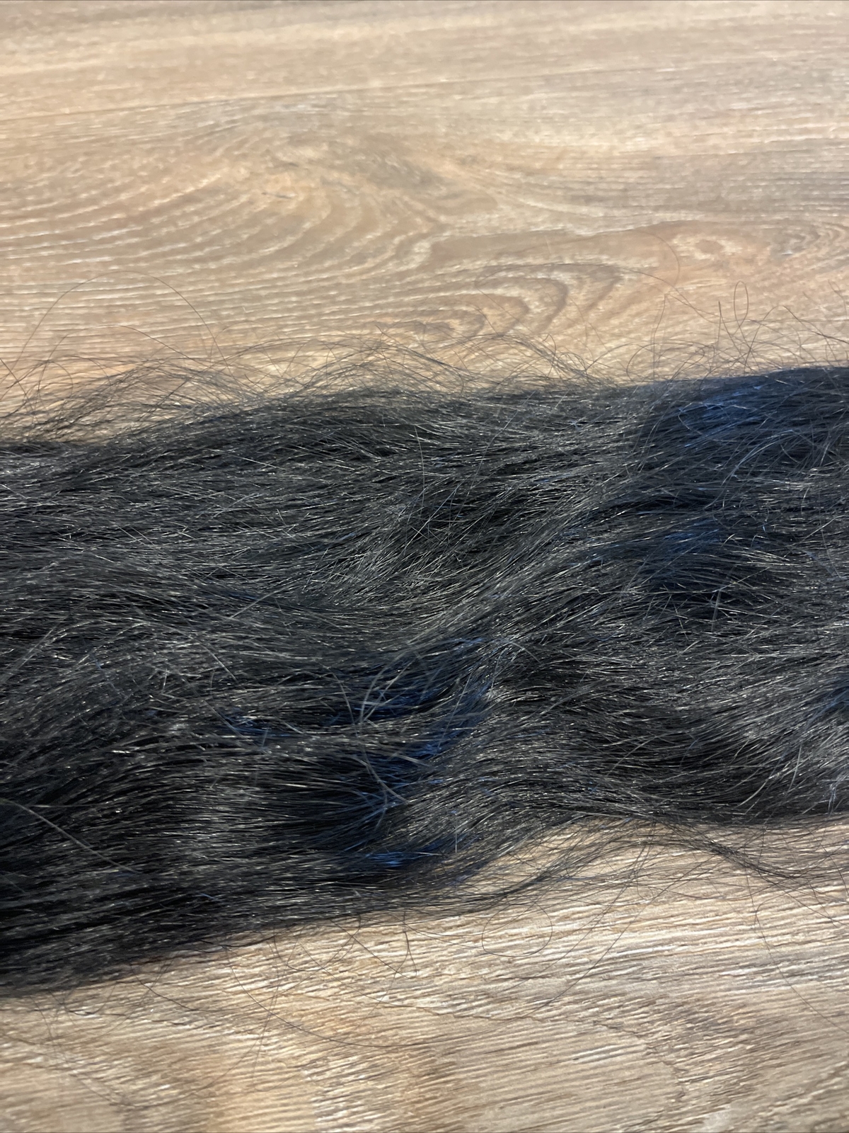 Rene of Paris Ponytail [SEE DETAILS IN LISTING]
