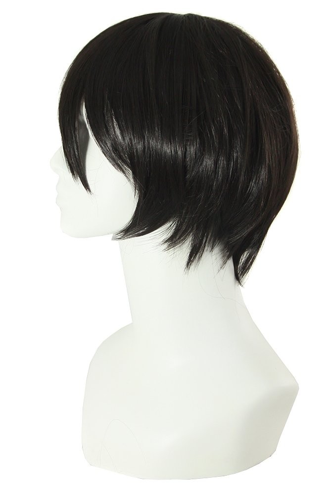 12 Inch / 30 cm Men Short Straight Wig Cosplay Costume Wig (Black)
