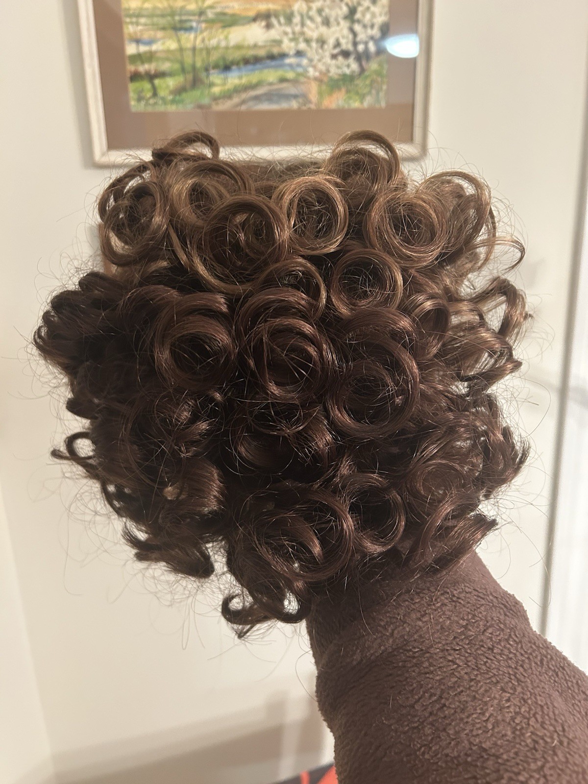 Envy Wig Kenya NWOT Cinnamon Raisin Brown