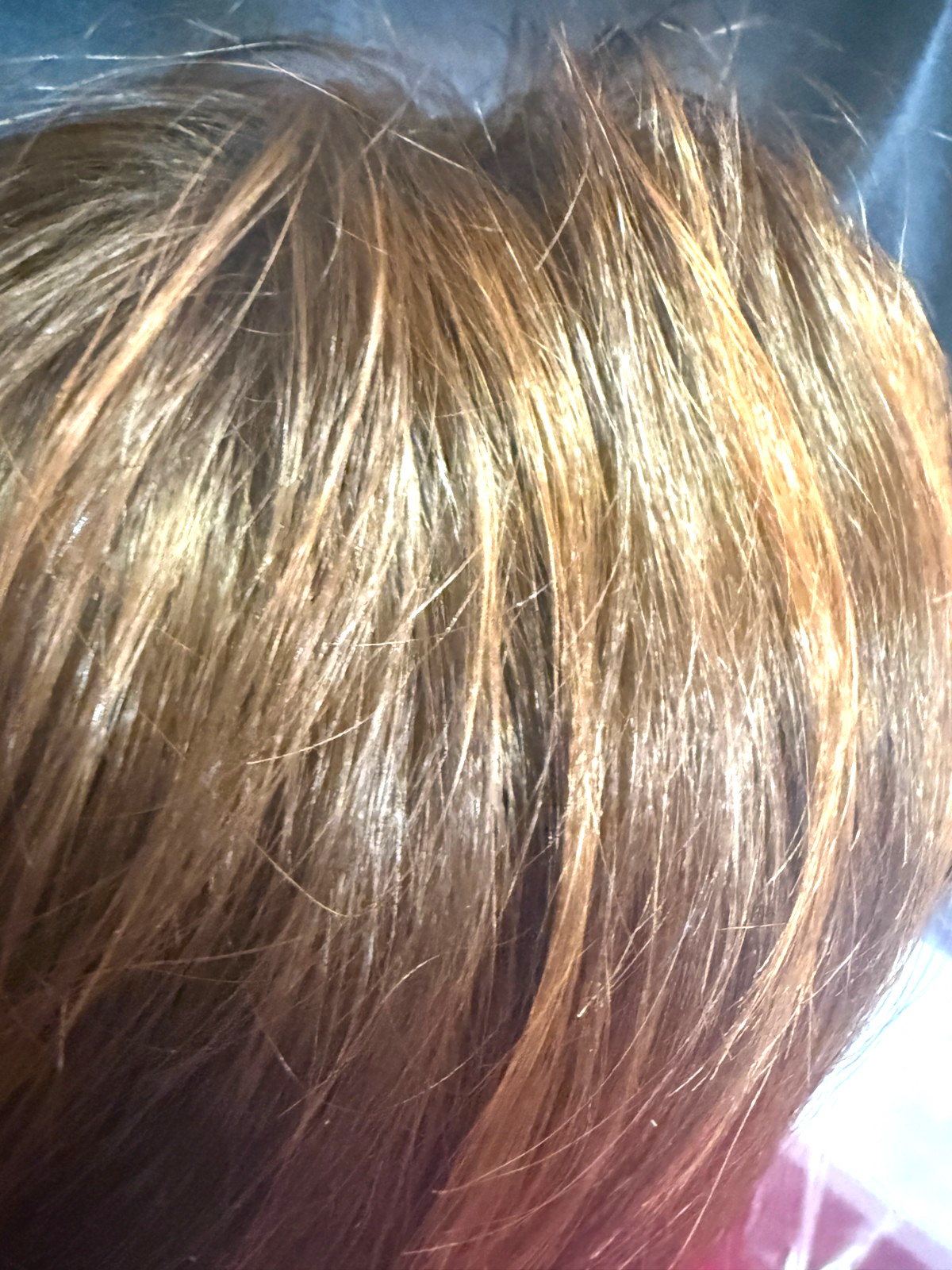 Godiva’s Secret Wigs “Katie” Terracotta-H Rooted
