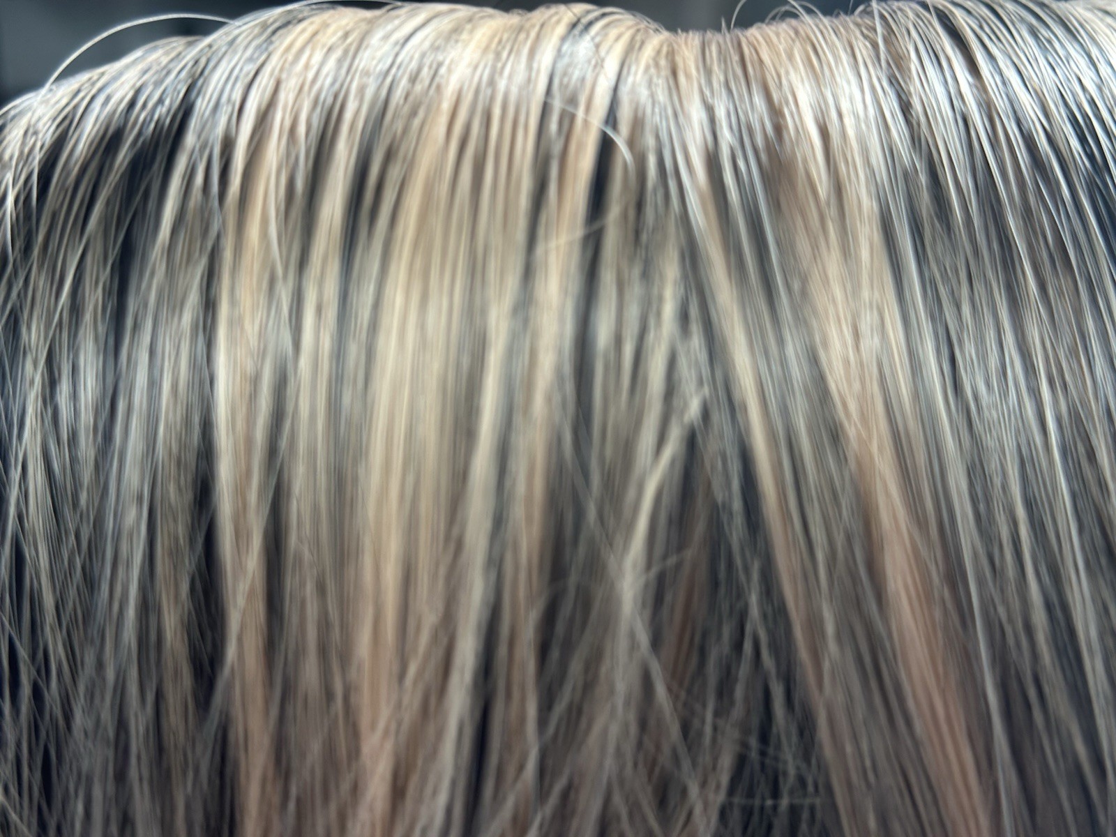 Vigorous Clip-In Synthetic Hair Extension Body Wave Black/Ash Blond 24in