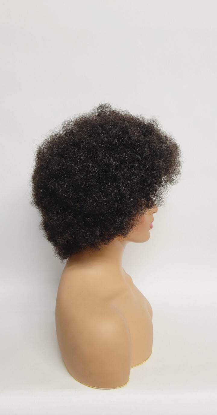 Short Afro Puff Wigs for Black Women Curly Kinky 70s Disco Bouncy Kane Kalon #3