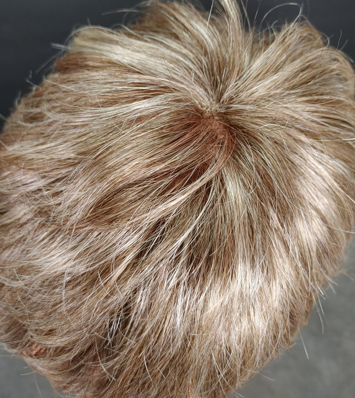 Gabor Wig Lace Front Mono Top Short Bangs Dark/Neutral Blonde Highlights
