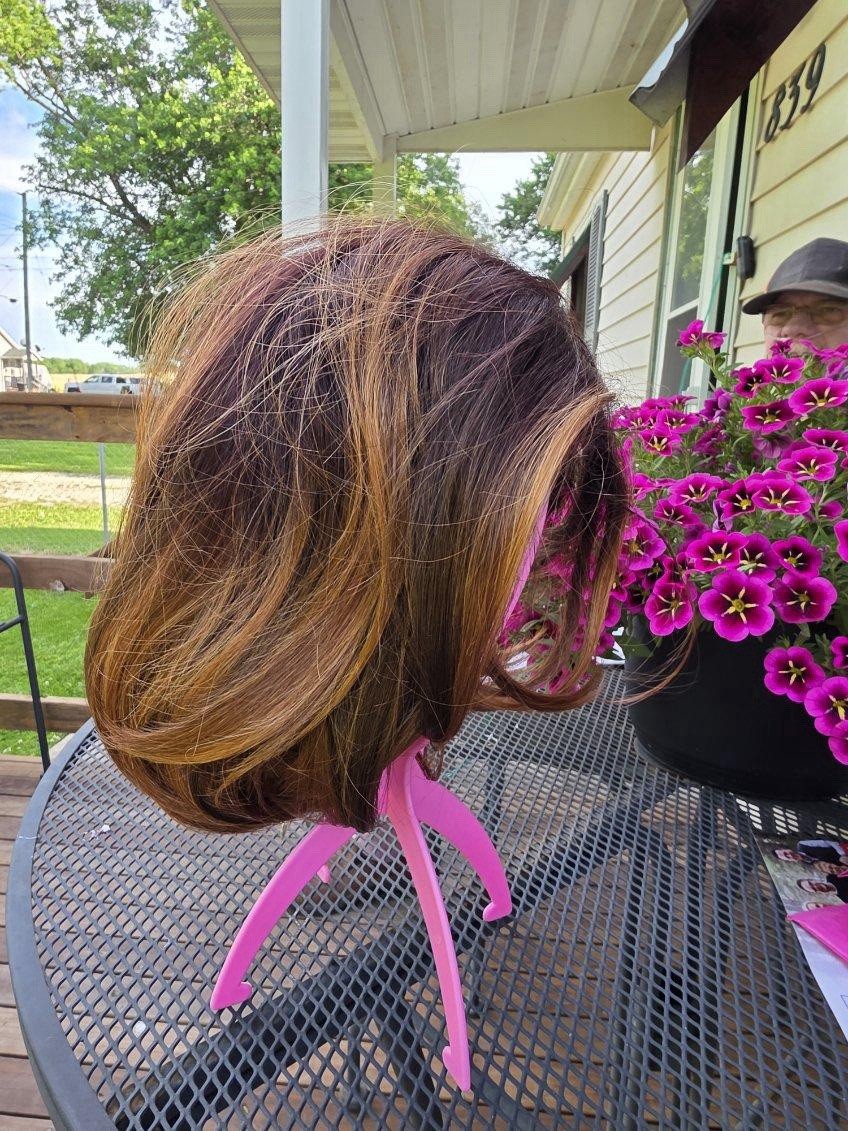 Rebel Gypsy New. Brown, Chin Length. Never Warn. Pink Stand Not Included.