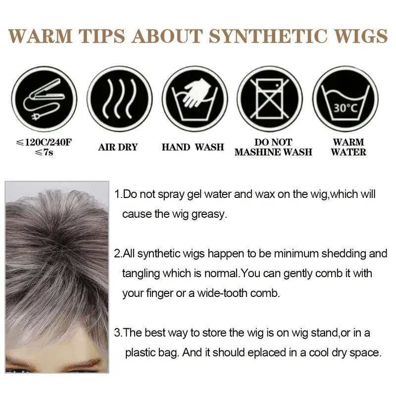 Men’s 6in Short Silver Gray Wig Full Cosplay Party Heat Resistant Synthetic