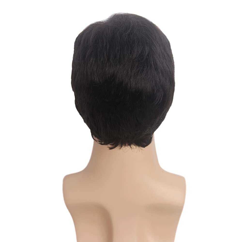 Men’s Black Men Wig Short Full Wigs Little Wavy Synthetic Straight Hair Daily US