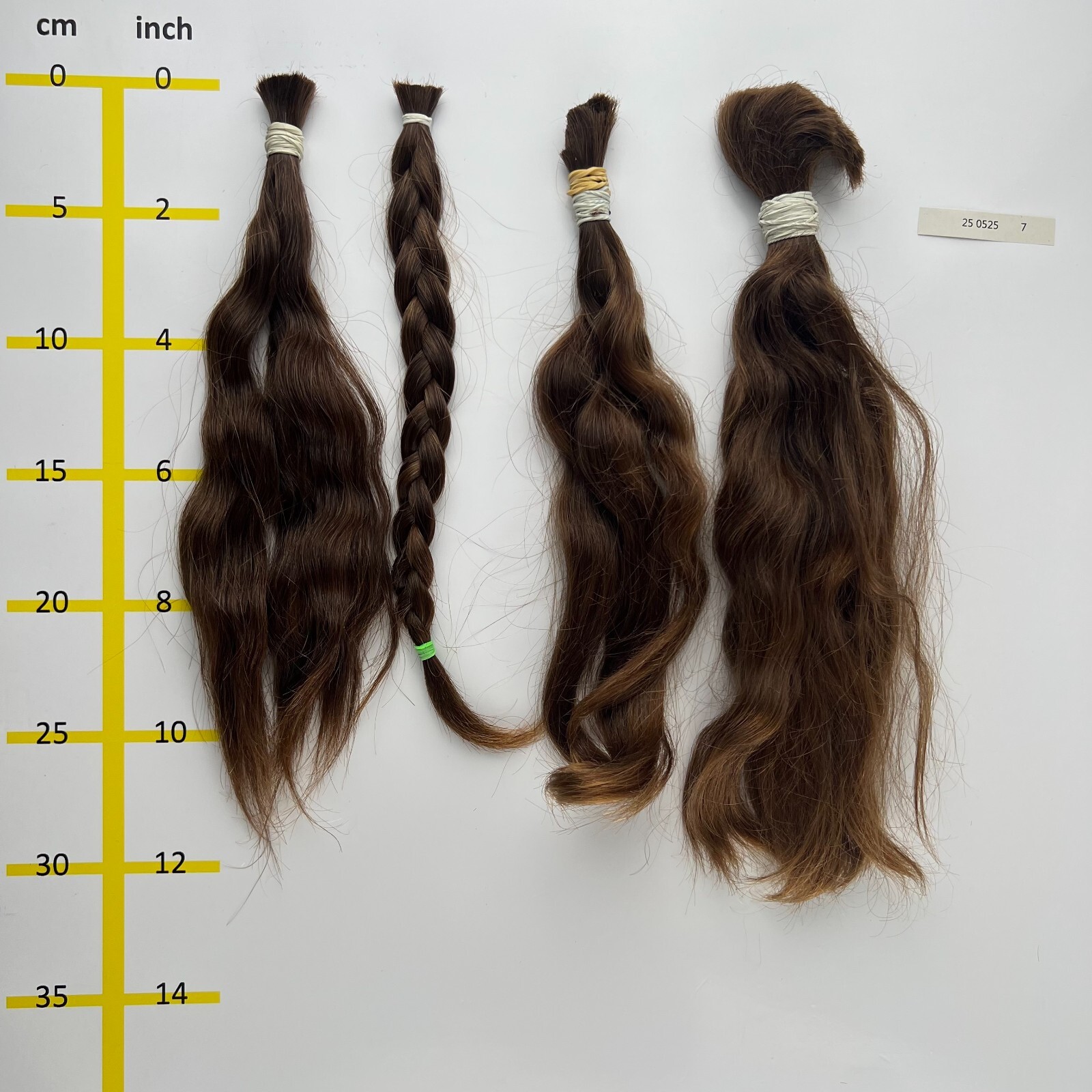 European hair, cut hair, raw hair, Medium Blonde, 10”-12”, min. 100 gr.,virgin