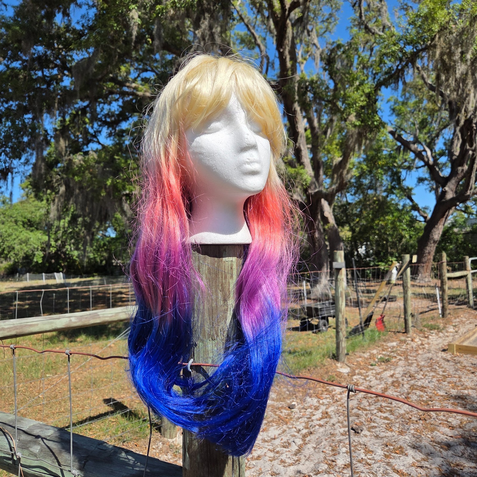 Jon Renau Full Lace Front Wig Long Colorful Bright Pride Blonde Bangs Dyed