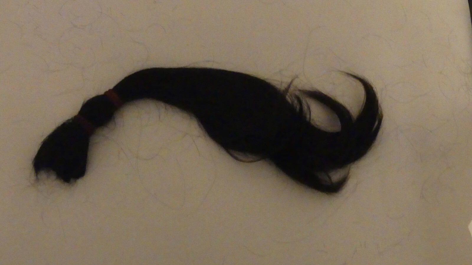 Human Hair Ponytail 19-inch Black Straight Fresh Cut Philippines