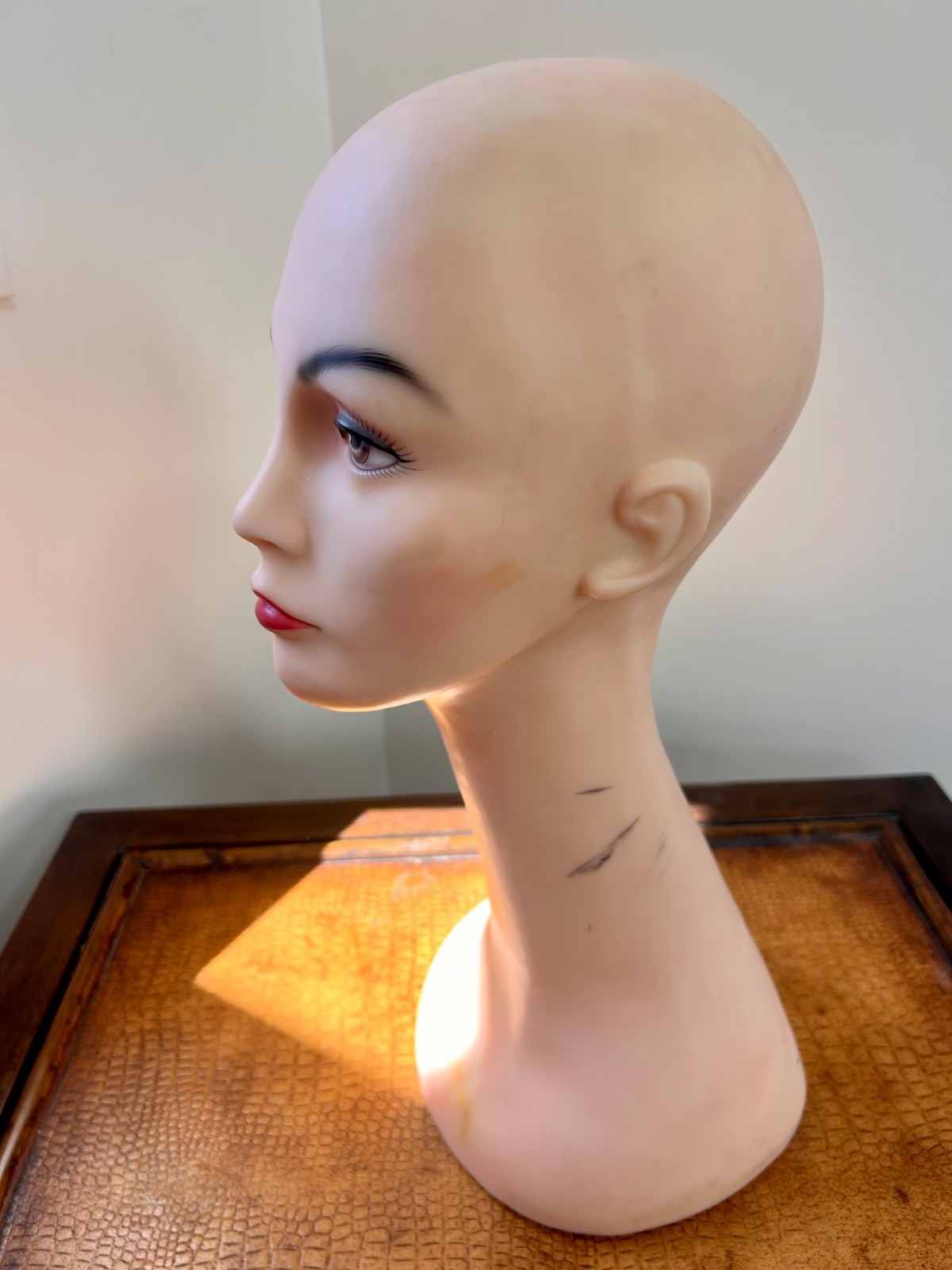 Set of 5 Wig Stands – Wig Stand Bundle – Mannequin, Canvas, Collapsible – Good