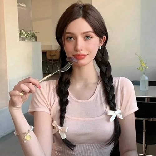 Braided Ponytail Hair Extensions Clip-In 2-Pack | 17 Inch Synthetic Dark Brown