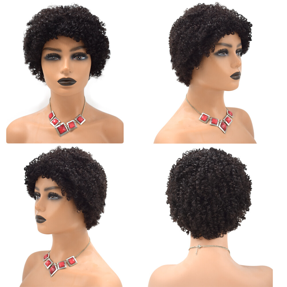 Kinky Curly Afro Wig Short Human Hair Wigs for Black Women Brazilian Natural US