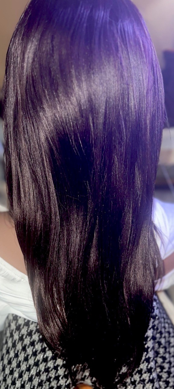 LACE FRONT 100% HUMAN HAIR WIG LONG STRAIGHT LAYERED L-PARTING ~DARK BROWN NWT