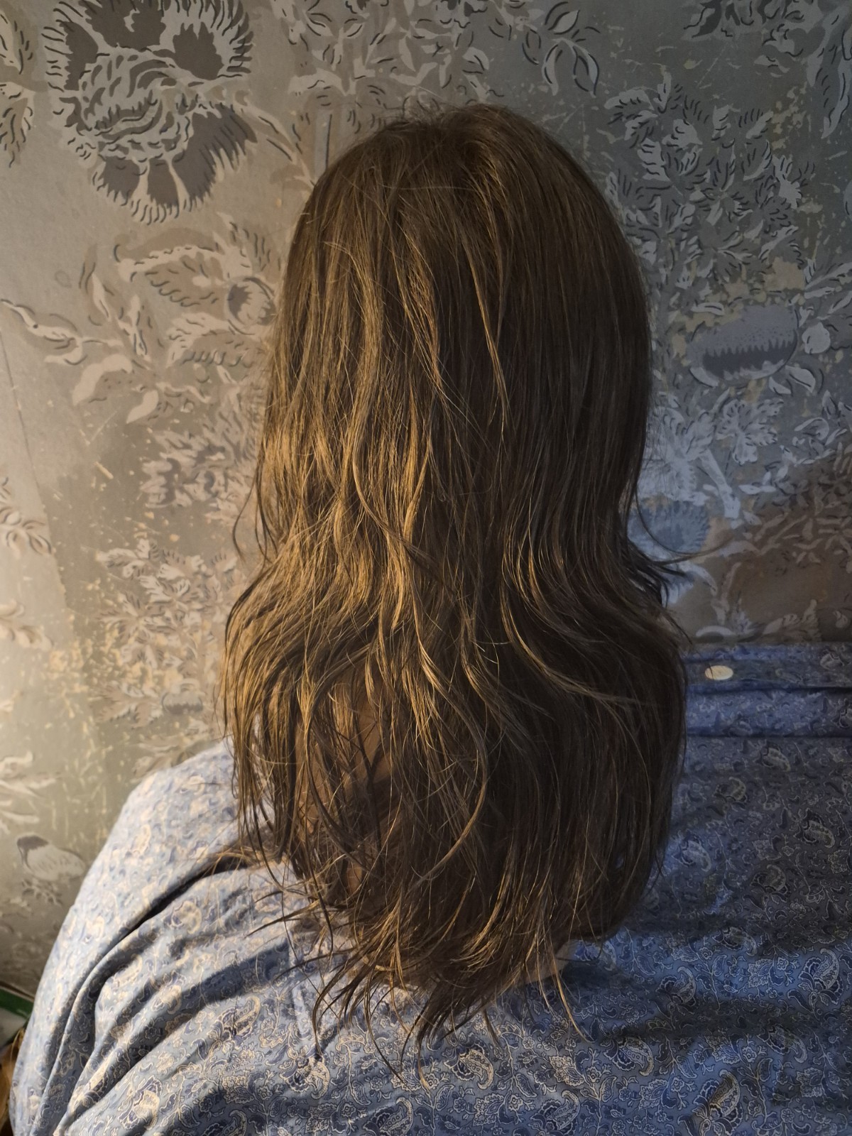 Paula Young Valentina 8/12A Wavy Layered Wig Medium Brown Classic Average Cap