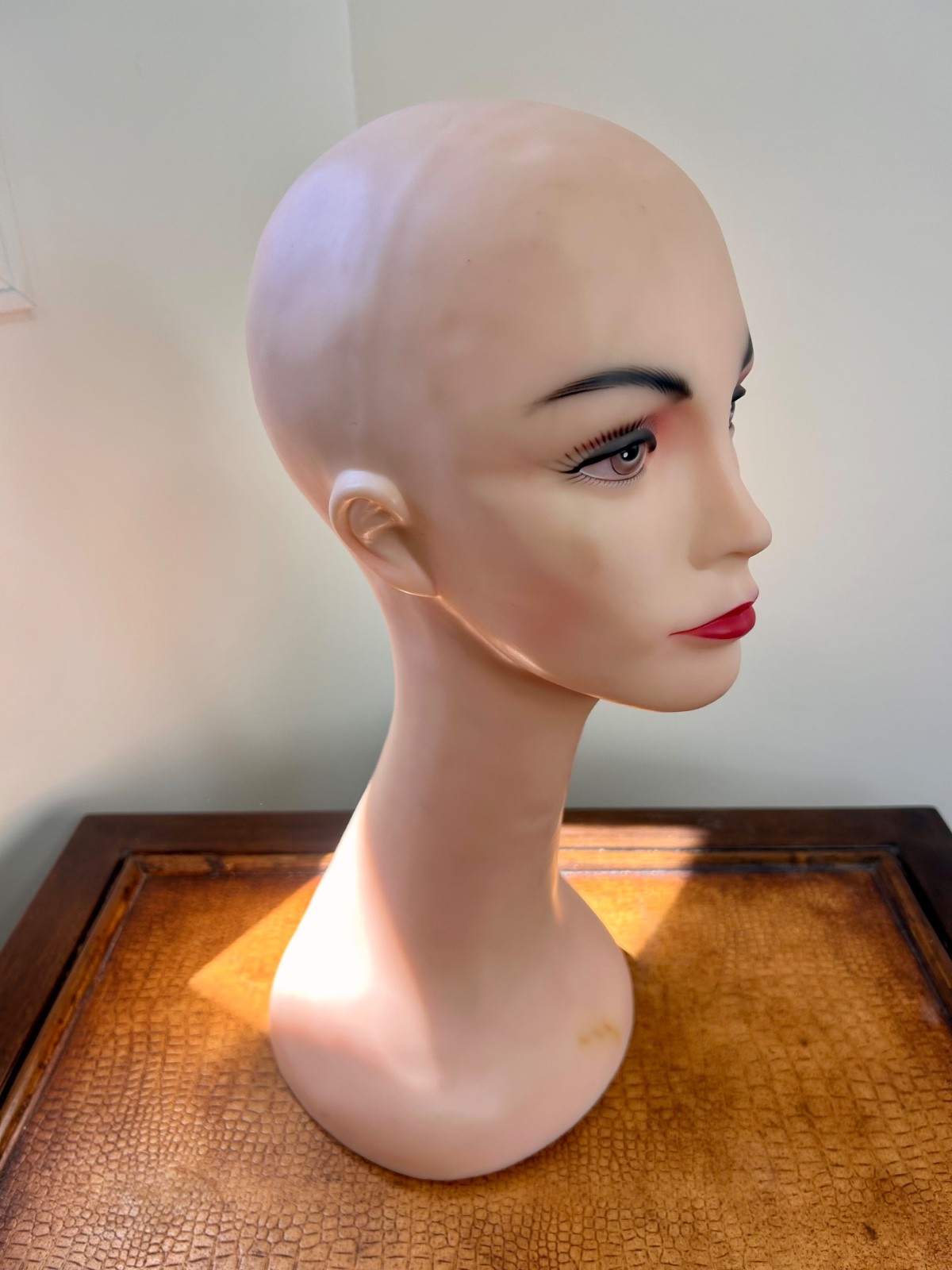 Set of 5 Wig Stands – Wig Stand Bundle – Mannequin, Canvas, Collapsible – Good