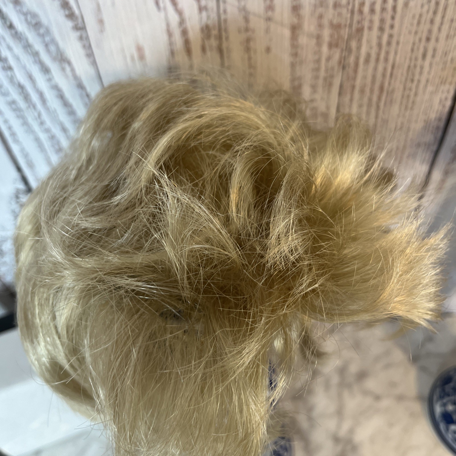 The Wig Company Starstyle Wig Blonde K225 Erika Average TWC 1999 Vincent James